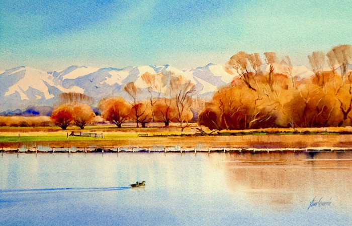 Flooded Fields