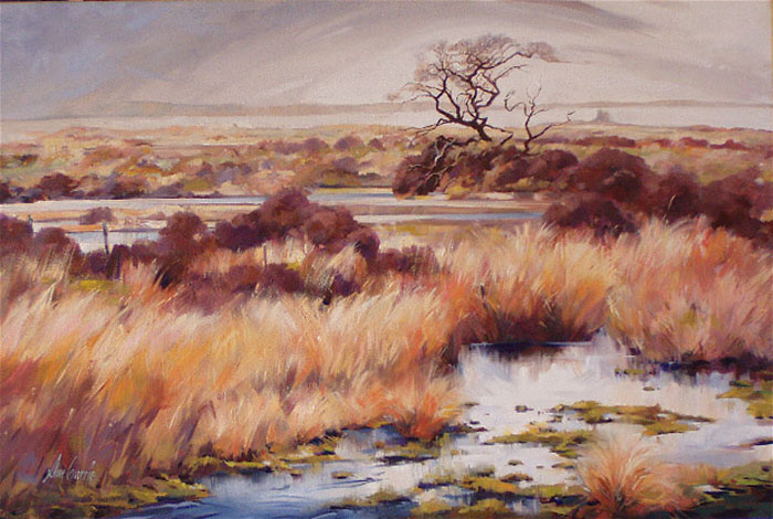 The Lone Tree