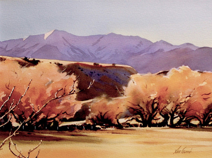 Suntouched Willows