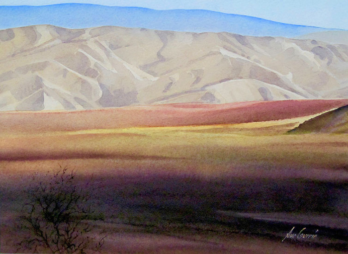 Tarras Landscape