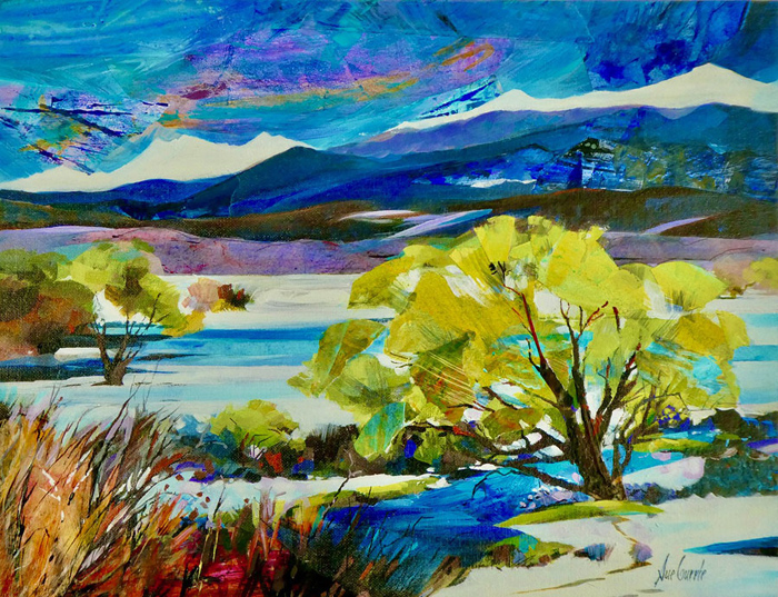 Te Anau Downs